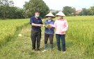 Xã Thạch Long: Tập trung chăm sóc, phòng trừ sâu bệnh hại lúa vụ Mùa